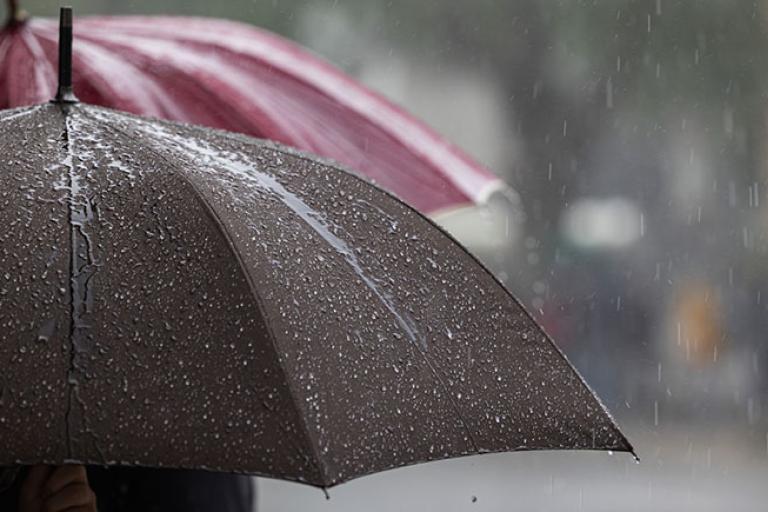 two umbrellas up in a rain shower
