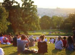 groups of people sitting in a field