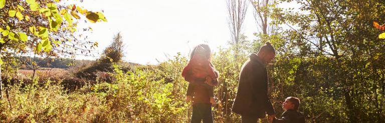 a family walking in a wood